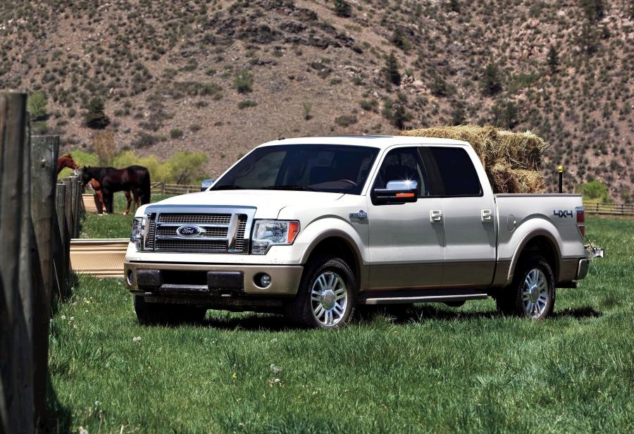  Ford F-150 SuperCrew Cab 2009 года  (фото 1 из 34)